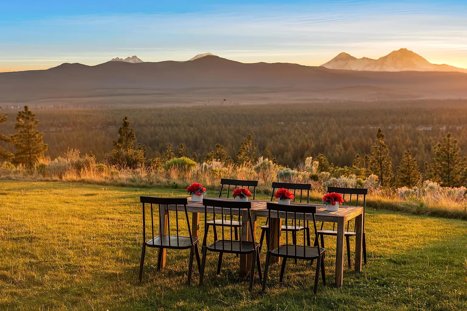 Psychedelic Retreat for Leaders