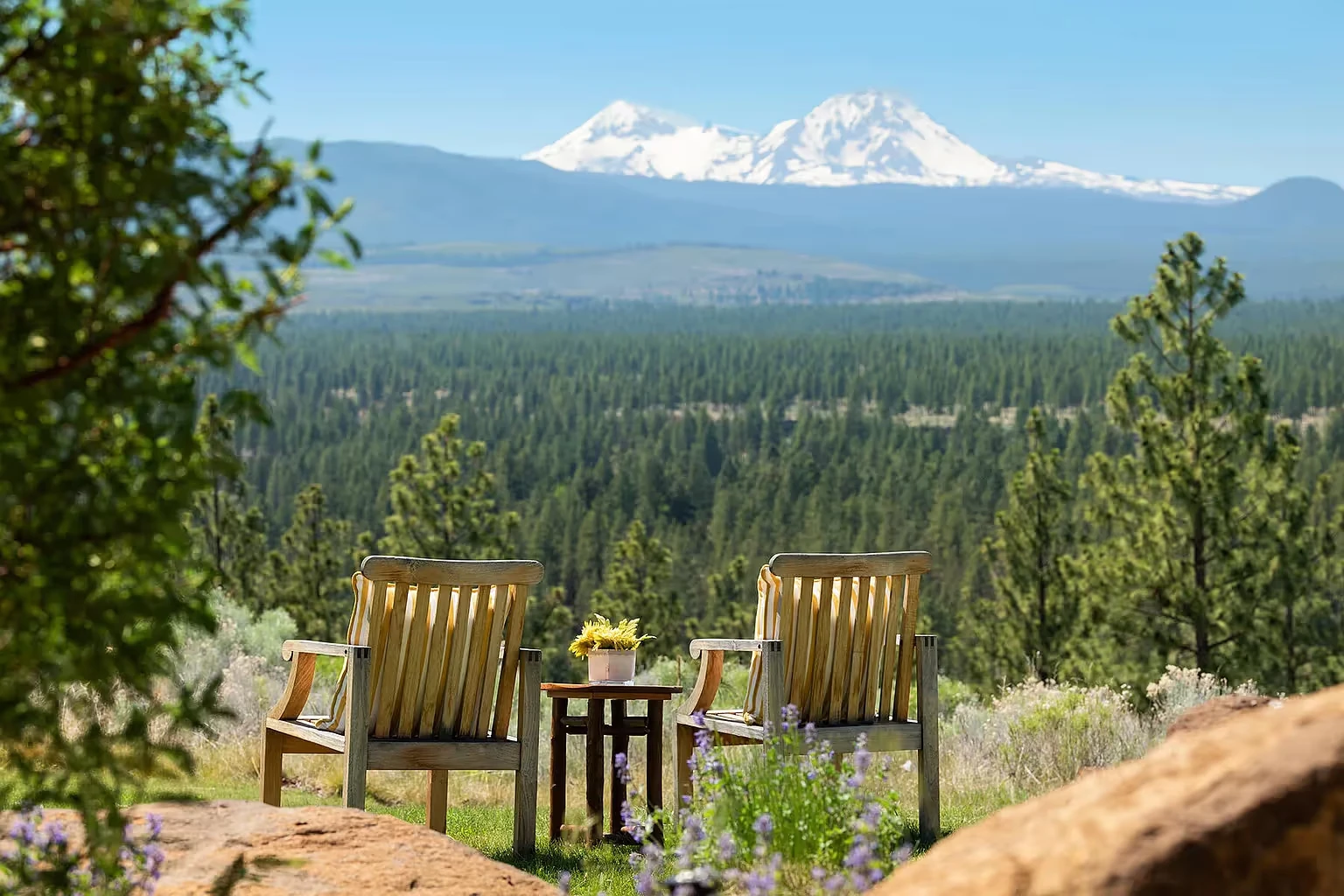 Psychedelic Retreat for Women